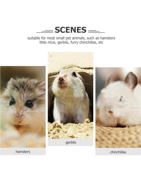 Rueda de Ejercicio Silenciosa POPETPOP para Hámster 18cm