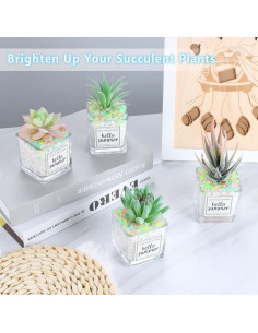 Piedras Brillantes para Acuario y Jardín Kaiyuan 250g 3-5mm 2