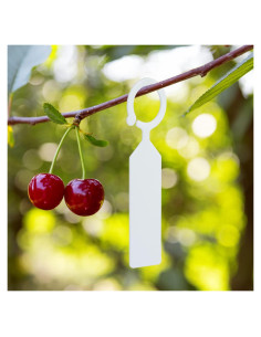 Etiquetas de Jardín Blancas KINGLAKE GARDEN 100 Pcs 11x2.4 cm