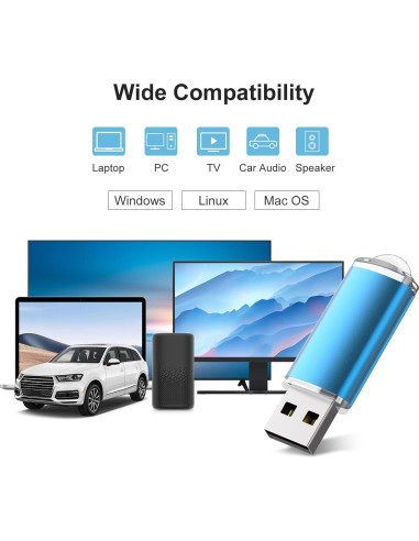 10 Unidades USB 2.0 RAOYI 1GB Memoria Flash Azul