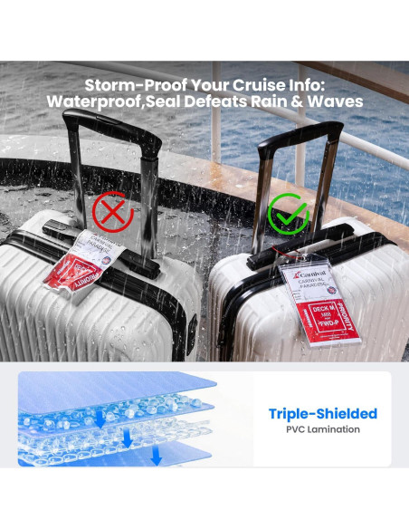 6 Etiquetas de Equipaje Transparentes HONIZER para Cruceros
