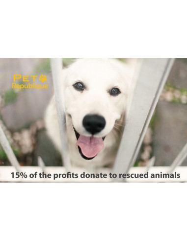 Cepillo de Dientes para Gatos y Perros Pequeños Pet Republique - 6 Unidades