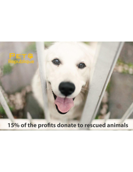 Cepillo de Dientes para Gatos y Perros Pequeños Pet Republique - 6 Unidades