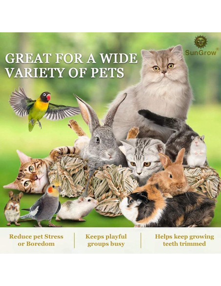 Bolas de Hierba Marina SunGrow para Mascotas - 3 Piezas