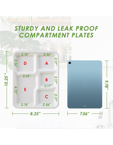 Platos Compostables Vplus 125 Unidades 5 Compartimentos 26x21 cm