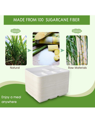 Platos Compostables Vplus 125 Unidades 5 Compartimentos 26x21 cm