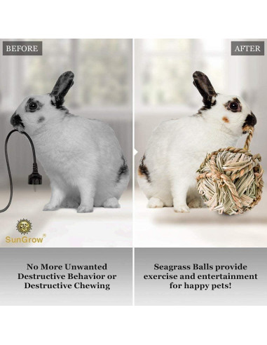 Bolas de Hierba Marina SunGrow para Mascotas - 3 Piezas