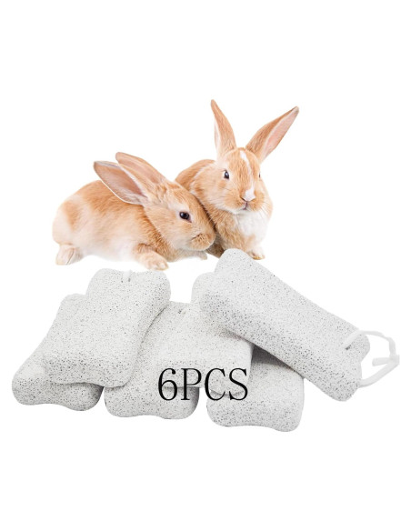 Bloques de Lava para Conejos PINVNBY - 6 Pcs, Salud Dental