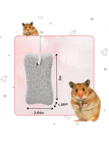 Bloques de Lava para Conejos PINVNBY - 6 Pcs, Salud Dental