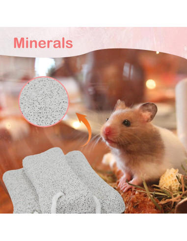 Bloques de Lava para Conejos PINVNBY - 6 Pcs, Salud Dental