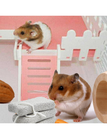 Bloques de Lava para Conejos PINVNBY - 6 Pcs, Salud Dental