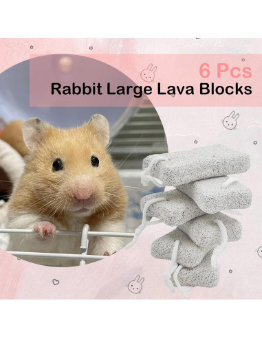Bloques de Lava para Conejos PINVNBY - 6 Pcs, Salud Dental