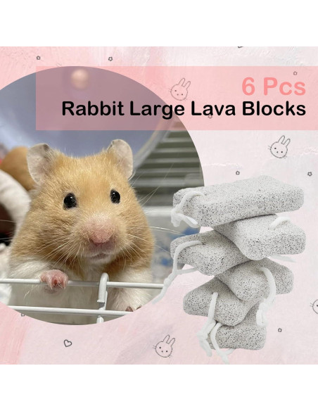 Bloques de Lava para Conejos PINVNBY - 6 Pcs, Salud Dental