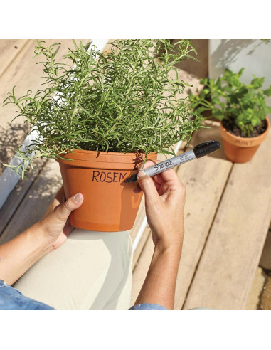 Marcadores Permanentes Sharpie Negros Punta de Bala - Paquete de 12