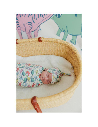 Manta de Envolver Copper Pearl Dinosaurios 117x117 cm Suave