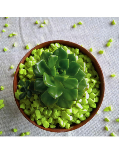 Rocas Brillantes Verdes YOKIVE 100 Pcs 10-15 mm Decorativas