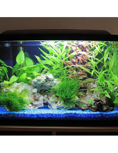 Rocas Brillantes Verdes YOKIVE 100 Pcs 10-15 mm Decorativas