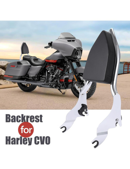 Respaldo Sissy Desmontable Bravema Touring Plata 2009-2022