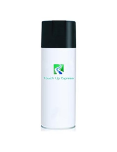 Pintura de Retoque Aerosol Touch Up Express 12oz Brillante