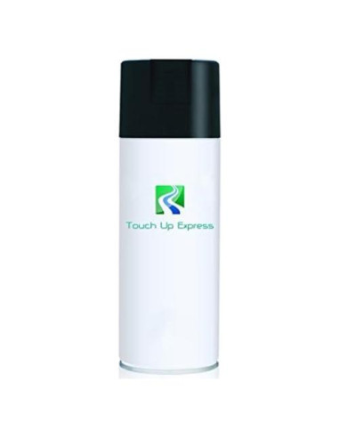 Pintura de Retoque Aerosol Touch Up Express 12oz Brillante