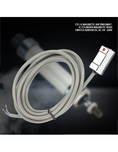 Interruptor de Reeds Magnético CS1-U Yuecoom 5-240V SPST