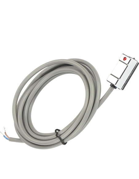 Interruptor de Reeds Magnético CS1-U Yuecoom 5-240V SPST