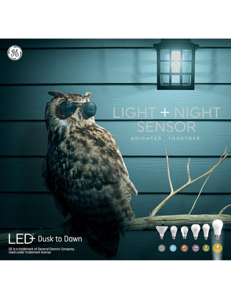 Bombilla LED GE Dusk to Dawn A19 8.5W 800 Lúmenes Exterior