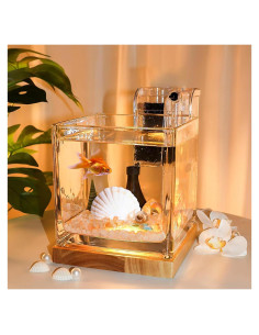 Kit Acuario de Vidrio SARUFO 3.06L con Base de Madera y Luz LED