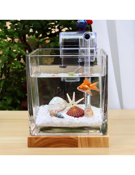 Kit Acuario de Vidrio SARUFO 3.06L con Base de Madera y Luz LED