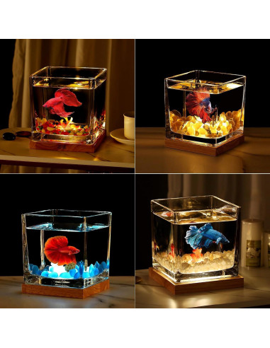 Kit Acuario de Vidrio SARUFO 3.06L con Base de Madera y Luz LED