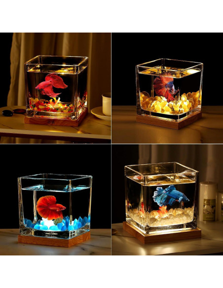 Kit Acuario de Vidrio SARUFO 3.06L con Base de Madera y Luz LED