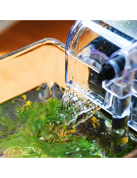 Kit Acuario de Vidrio SARUFO 3.06L con Base de Madera y Luz LED