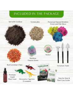 Kit de Terrario DIY Pequeño Creaciones de Nathalie - 11 Piezas 2
