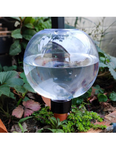 Esferas Autorriego Homaisson 5 Piezas 500ML Cerámica 2