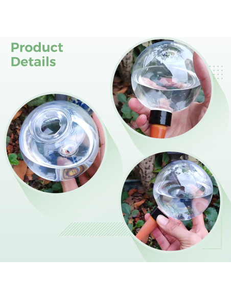 Esferas Autorriego Homaisson 5 Piezas 500ML Cerámica