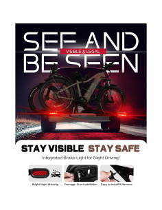 Kit Luz de Freno y Placa Young LED Ovalada 10 LEDs 12V 2