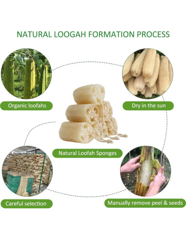 Esponjas de Lufa Natural FRTIM - Paquete de 6 Exfoliantes