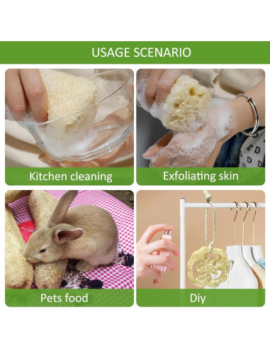 Esponjas de Lufa Natural FRTIM - Paquete de 6 Exfoliantes