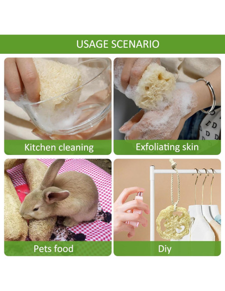 Esponjas de Lufa Natural FRTIM - Paquete de 6 Exfoliantes