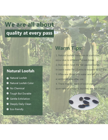 Esponjas de Lufa Natural FRTIM - Paquete de 6 Exfoliantes