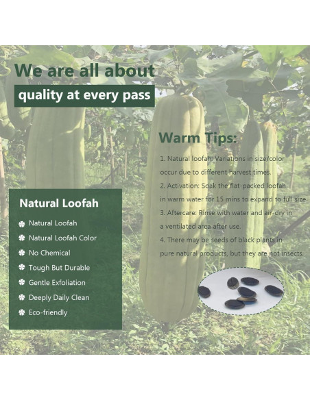 Esponjas de Lufa Natural FRTIM - Paquete de 6 Exfoliantes