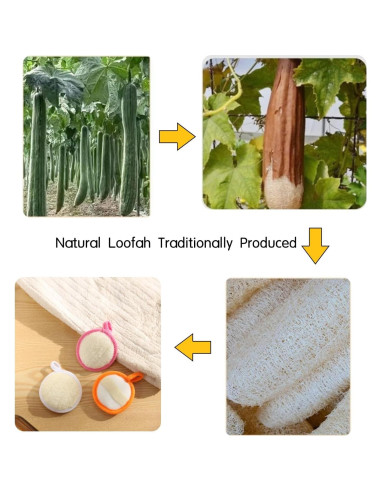 Esponja Exfoliante Facial de Lufa Natural ZOHCAJBO - 4 Piezas