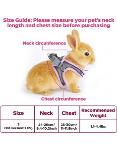 Arnés y Correa Ajustable Exclaith para Conejos y Gatos Rosa 2