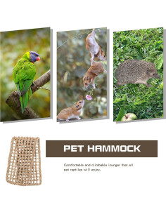 Alfombra de Hierba Marina para Aves XiyaxiVici 52 x 20 cm 2