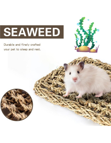 Alfombra de Hierba Marina para Aves XiyaxiVici 52 x 20 cm