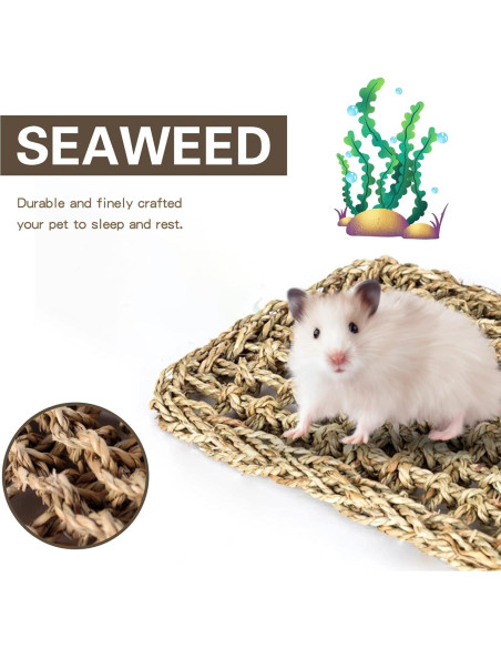 Alfombra de Hierba Marina para Aves XiyaxiVici 52 x 20 cm