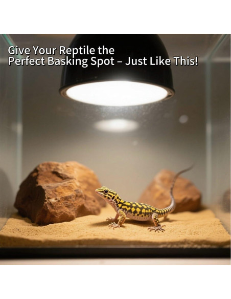 Lámpara para Reptiles 2-Pack AlxamolTools 13.97cm 150W