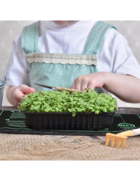 Almohadilla Térmica ROCEEI para Plántulas 10 Unidades 25x53 cm