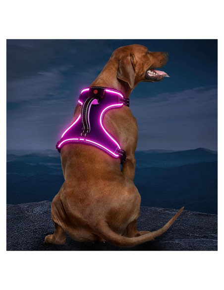 Arnés LED Vizbrite para Perros Mediano Púrpura-Rosa Ajustable