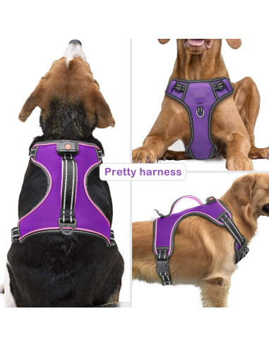 Arnés LED Vizbrite para Perros Mediano Púrpura-Rosa Ajustable